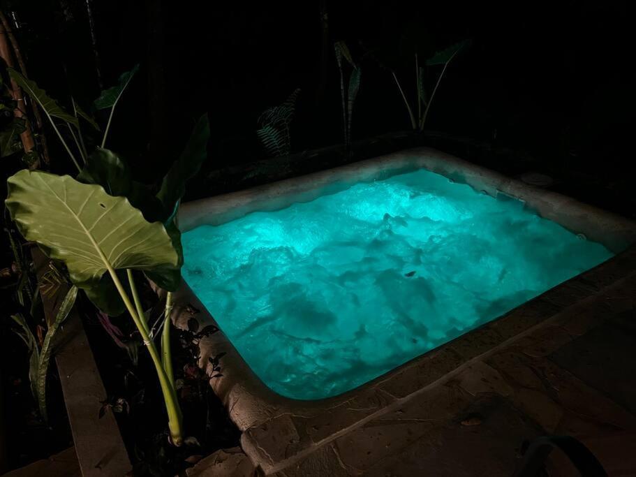 Cabana De Bambu En La Selva 帕伦克 外观 照片